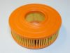 MOTAQUIP VFA168 Air Filter